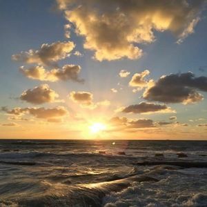 Meet your Posher, Rhonda